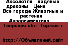 Аксолотли / водяные драконы › Цена ­ 500 - Все города Животные и растения » Аквариумистика   . Тверская обл.,Торжок г.